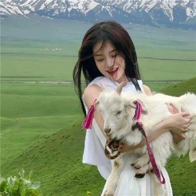心战国语